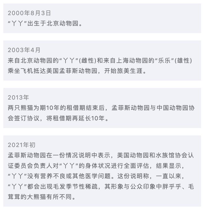 丫丫歸國最新消息及步驟指南