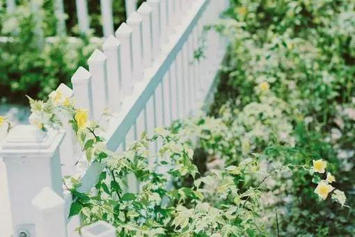 天天薪平臺(tái)手續(xù)費(fèi)最新更新資訊