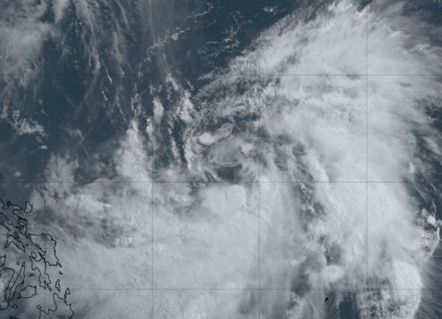 最新臺風動態及應對步驟指南