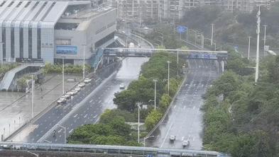 最新臺風動態及應對步驟指南