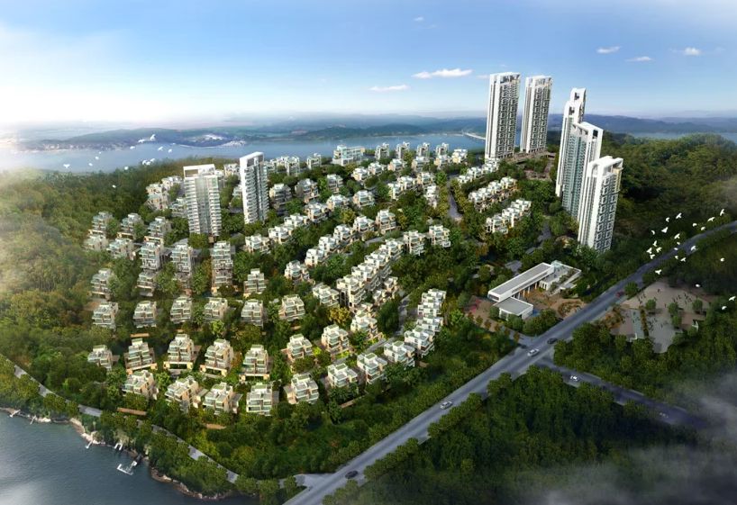 閩侯甘蔗新盤上市，自然美景的魅力之旅探秘！