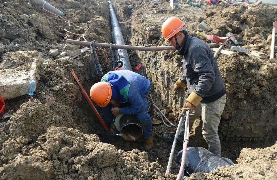 阜陽國禎家園最新房價信息及深度分析