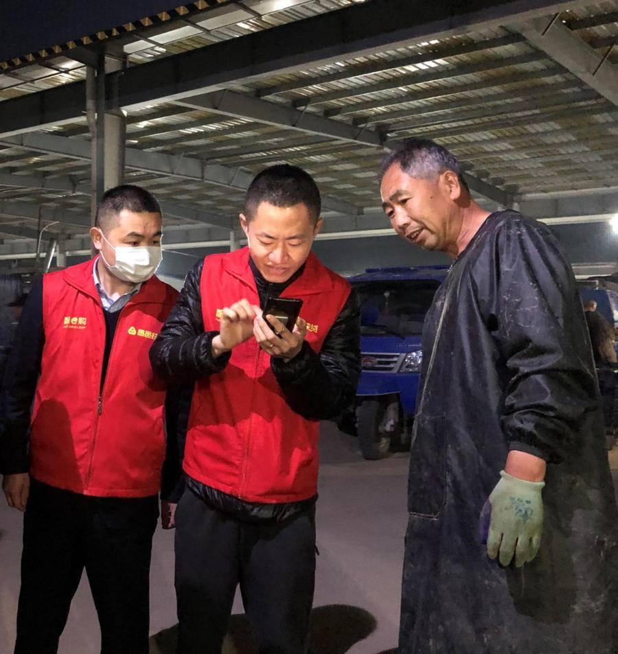 昌邑大姜行情揭秘，故事背后的溫馨與市場(chǎng)動(dòng)態(tài)