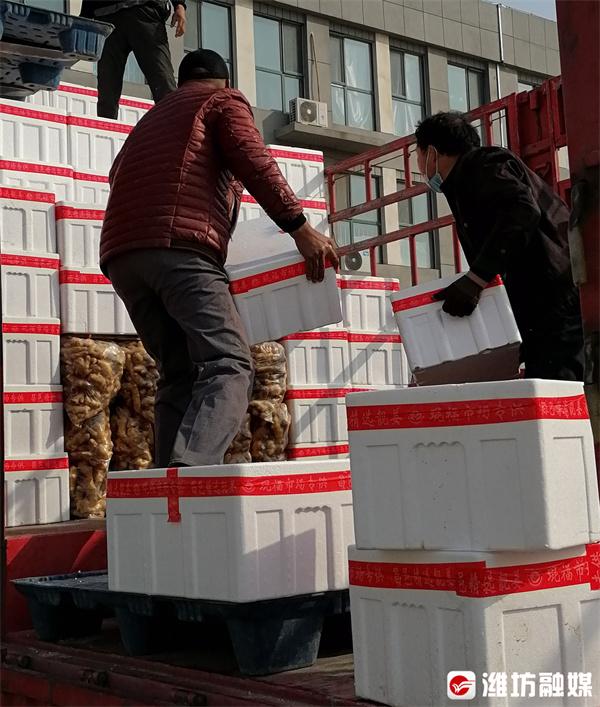 昌邑大姜行情揭秘,故事背后的溫馨與市場(chǎng)動(dòng)態(tài)