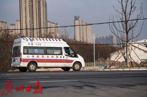 武漢新增確診背后的故事，小巷深處的神秘小店揭示真相