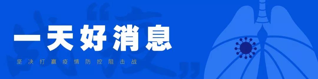 武漢新增確診背后的故事,小巷深處的神秘小店揭示真相