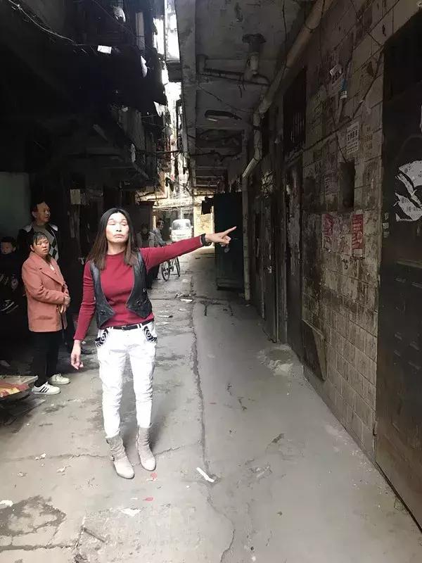 棟王最新作品，逆風翱翔，學習之路的自信成就之旅