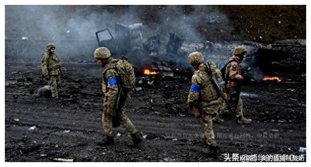 烏克蘭戰爭最新動態與大自然療愈之旅，尋求內心平和與寧靜