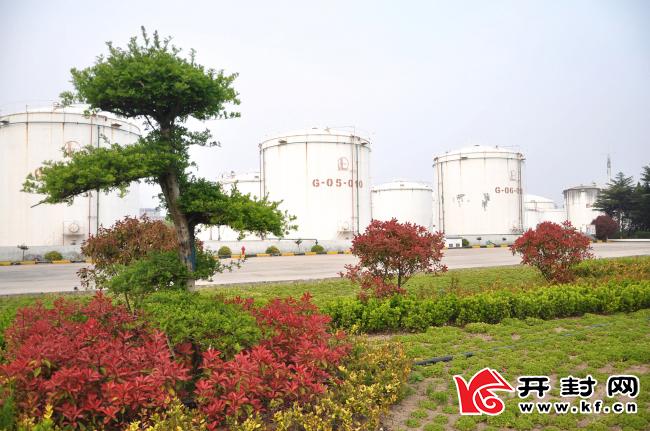 石化巨頭中石化邁向新征程的最新動態！