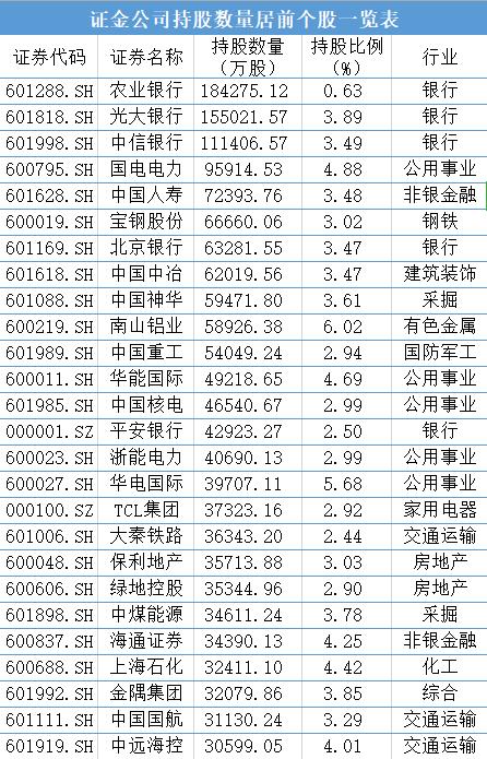 匯金最新持股深度解析與案例剖析,全面揭示持股情況