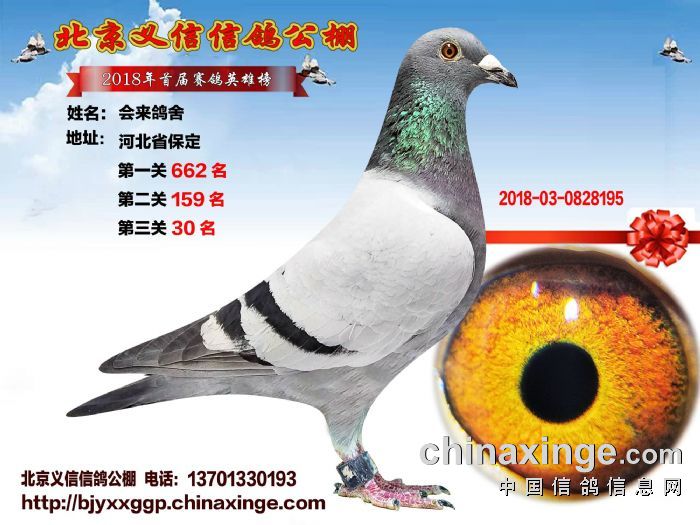 北京義信公棚最新動態，引領行業發展，先鋒力量展現