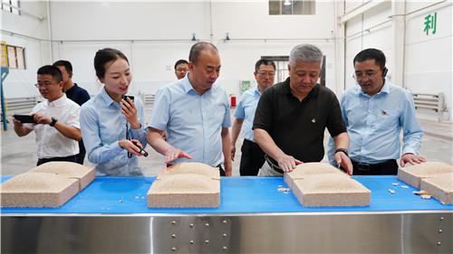 金徽酒股票行情走勢深度解析與預測??