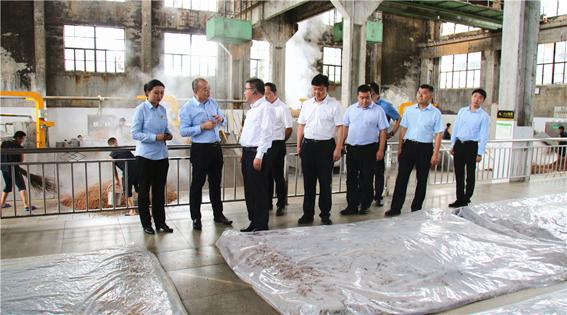 金徽酒股票行情走勢深度解析與預測??