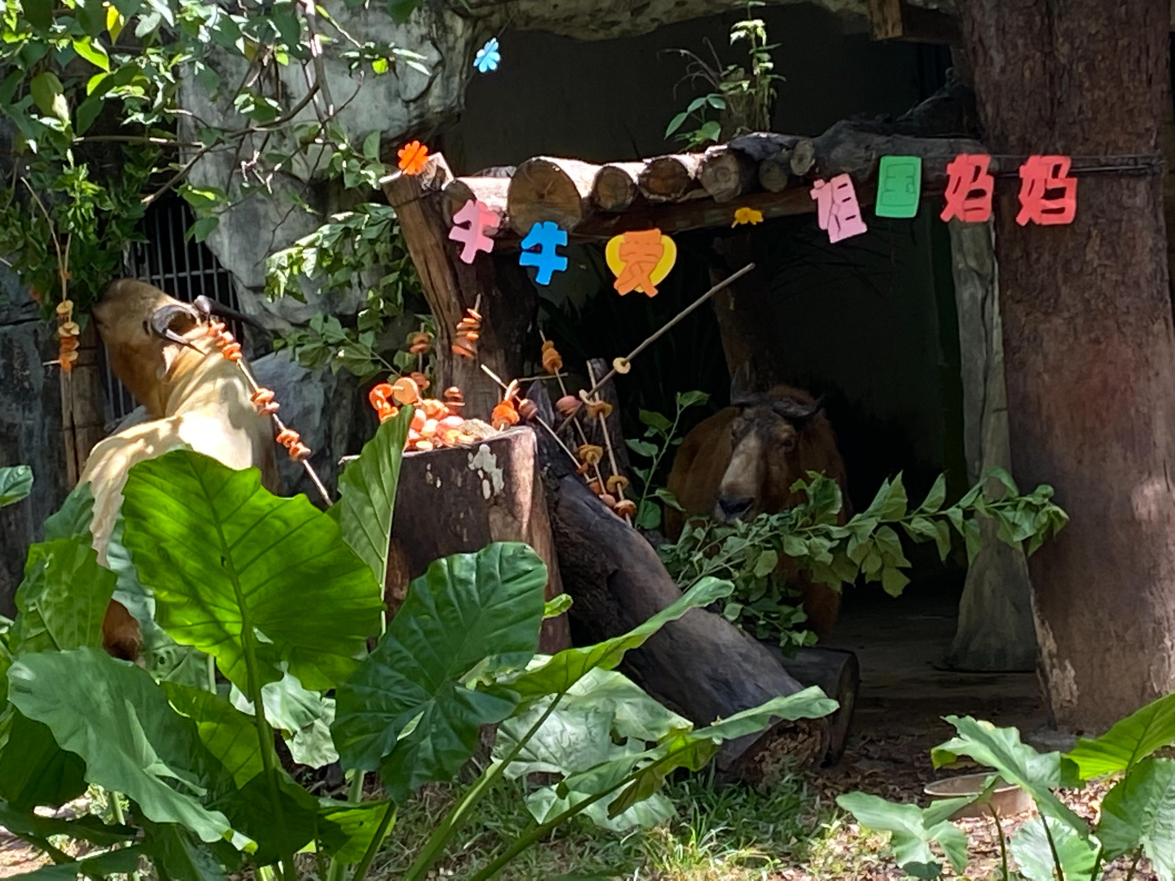 溫馨有趣的繪本演講比賽,展現繪本魅力的舞臺