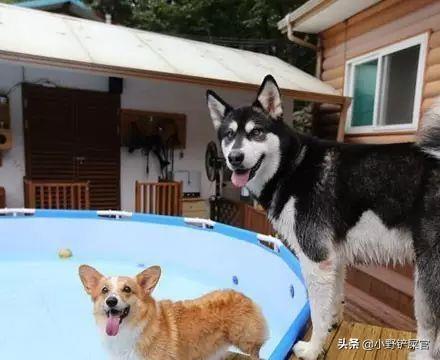 今日沙發廠招聘信息揭秘，探尋家具制造行業的職業機遇與發展