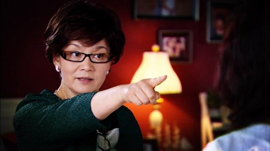 婆婆也是媽演員表全解析