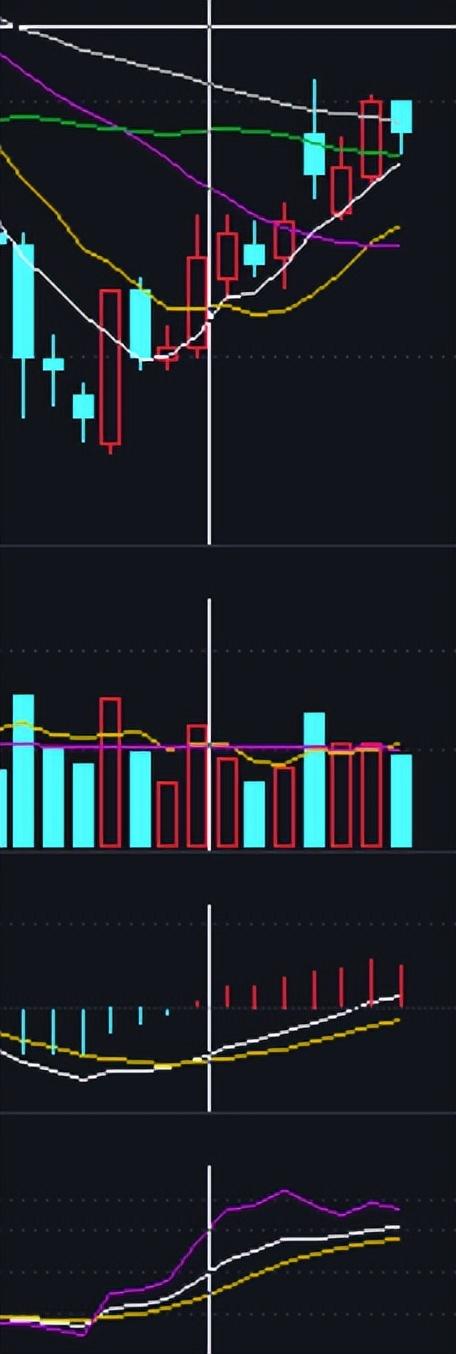 完美股票,理想追求的困惑與現實考量的投資領域探索