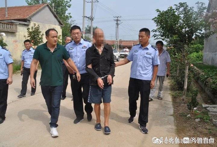 莒南最新案件，法律視角的深入分析與探討