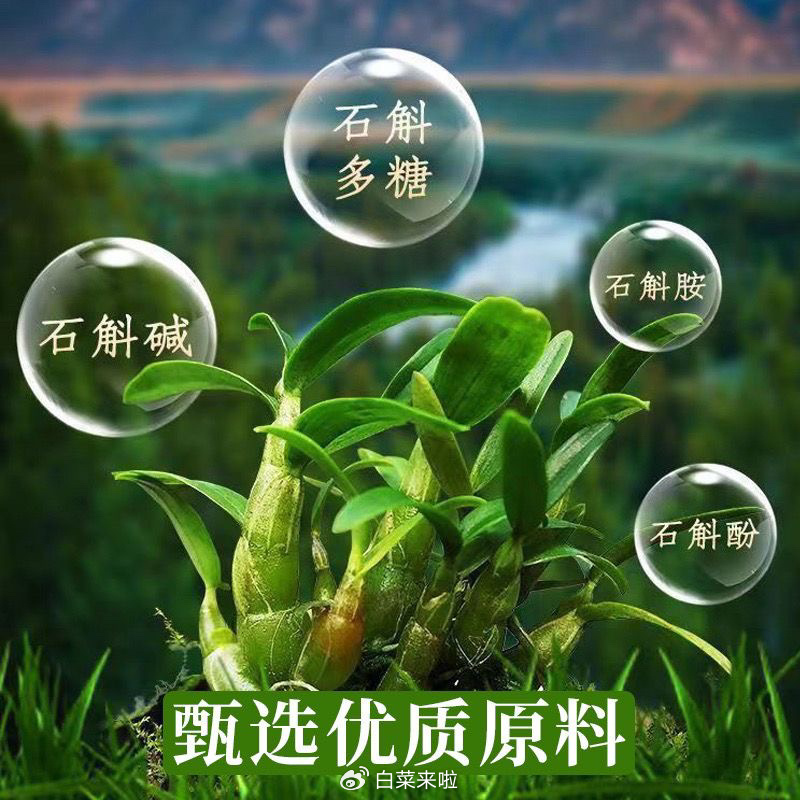 石斛原漿價格表，一段友情與陪伴的溫馨故事之旅