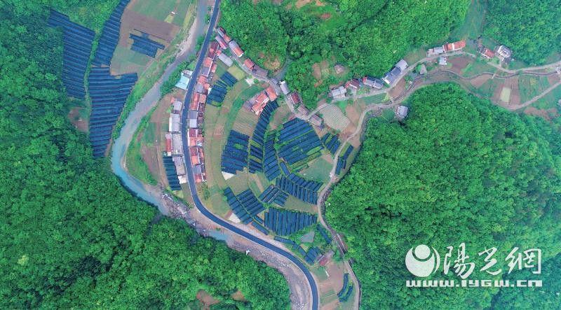 鎮坪高速進展順利，開啟輝煌新篇章之路