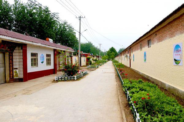 龍泉驛區西河最新招聘信息及其背景與影響分析