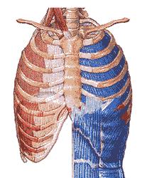 三維動畫最新技巧詳解,從入門到進(jìn)階的全方位指南