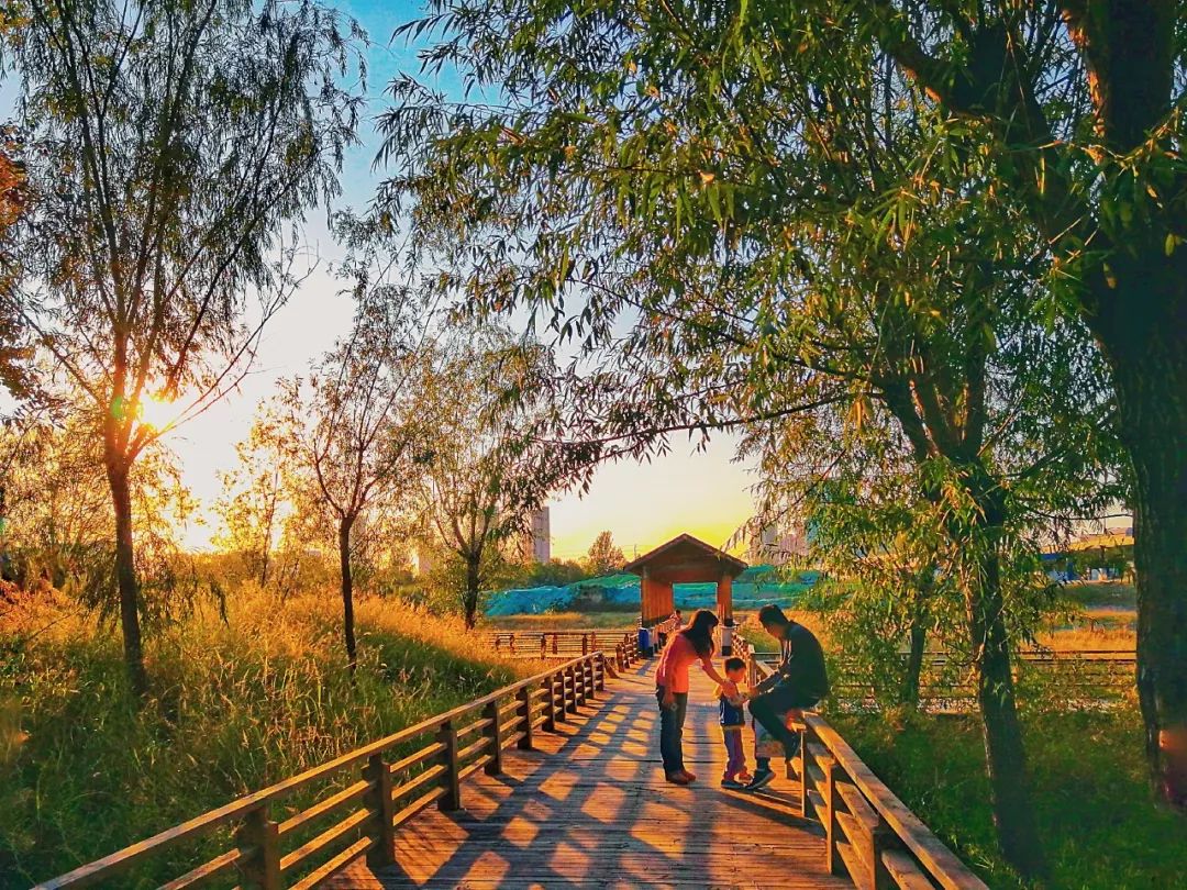最新秋日佳片，觀影指南與技能提升詳解