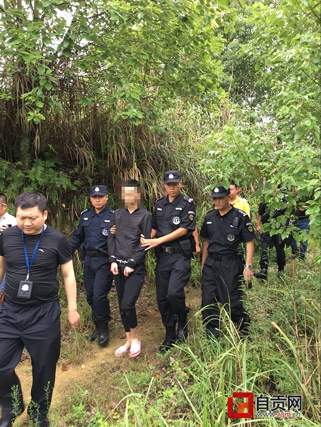 崇州命案最新進展揭秘,步驟指南及最新動態更新