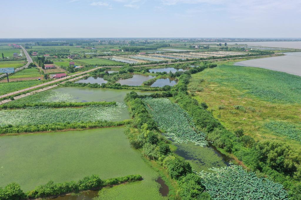 寧都東山壩鎮最新發展藍圖下的溫馨日常揭秘