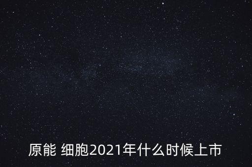 原能細(xì)胞上市，小巷中的神秘寶藏探索，特色小店的未知之旅