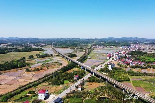 東鄉縣資訊獲取與應用指南大全