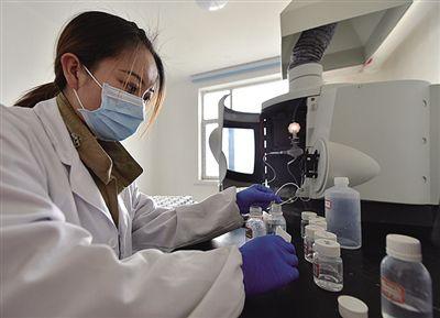 青海春天股票發展脈絡與地位追溯