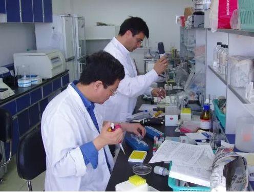 青島易邦上市,青島易邦上市，開啟新篇章，引領行業新風向