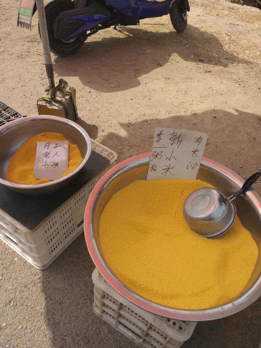 北京芒果行情詳解，選購、鑒別與投資的初學者與進階用戶指南