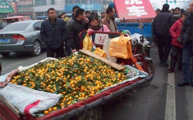 蓮藕市場(chǎng)遇冷，行業(yè)變遷與未來前景探析