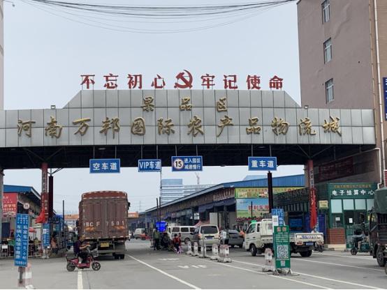 全球香蕉產業面臨新的挑戰，警惕香蕉最新疫情！