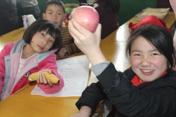 全球香蕉產業面臨新的挑戰,警惕香蕉最新疫情!