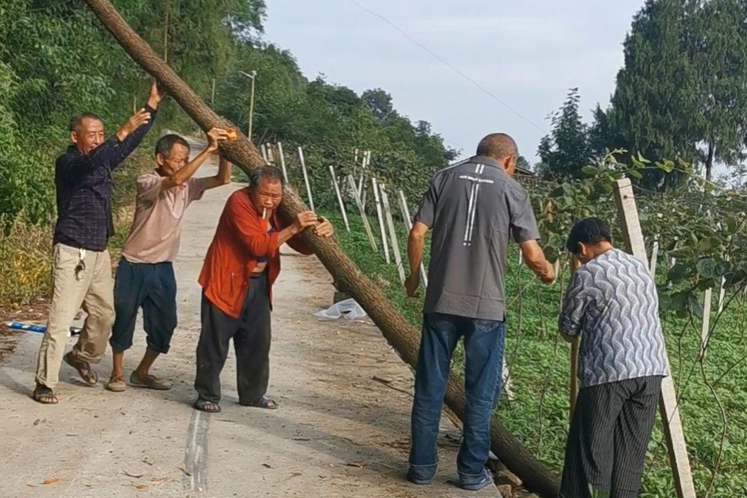 共享經濟上市公司的崛起、挑戰與觀點探析