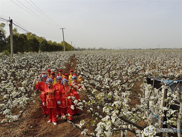 河南最新防疫措施步驟指南詳解