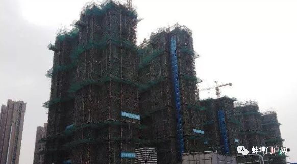 蚌埠劉兆水最新動(dòng)態(tài)更新,最新消息匯總