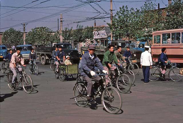 沈陽限號通告更新,綠色出行,輕松探尋自然美景之旅