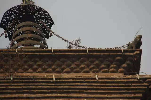 武陟妙樂寺最新動態，古寺展現新章，溫情流淌之中