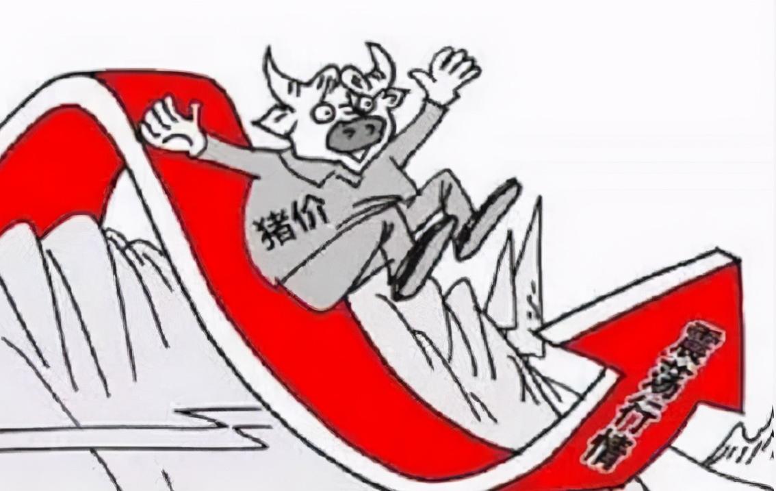 今年生豬行情展望，探尋生態平衡與內心平靜的旅程