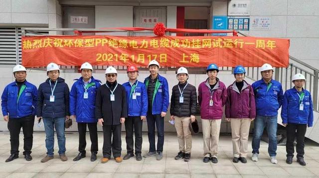 上海電力最新動態,全面指南