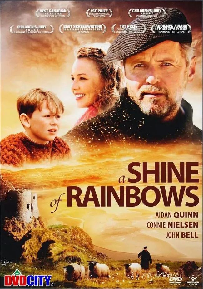 周末電影探秘，小巷深處的寶藏盛宴