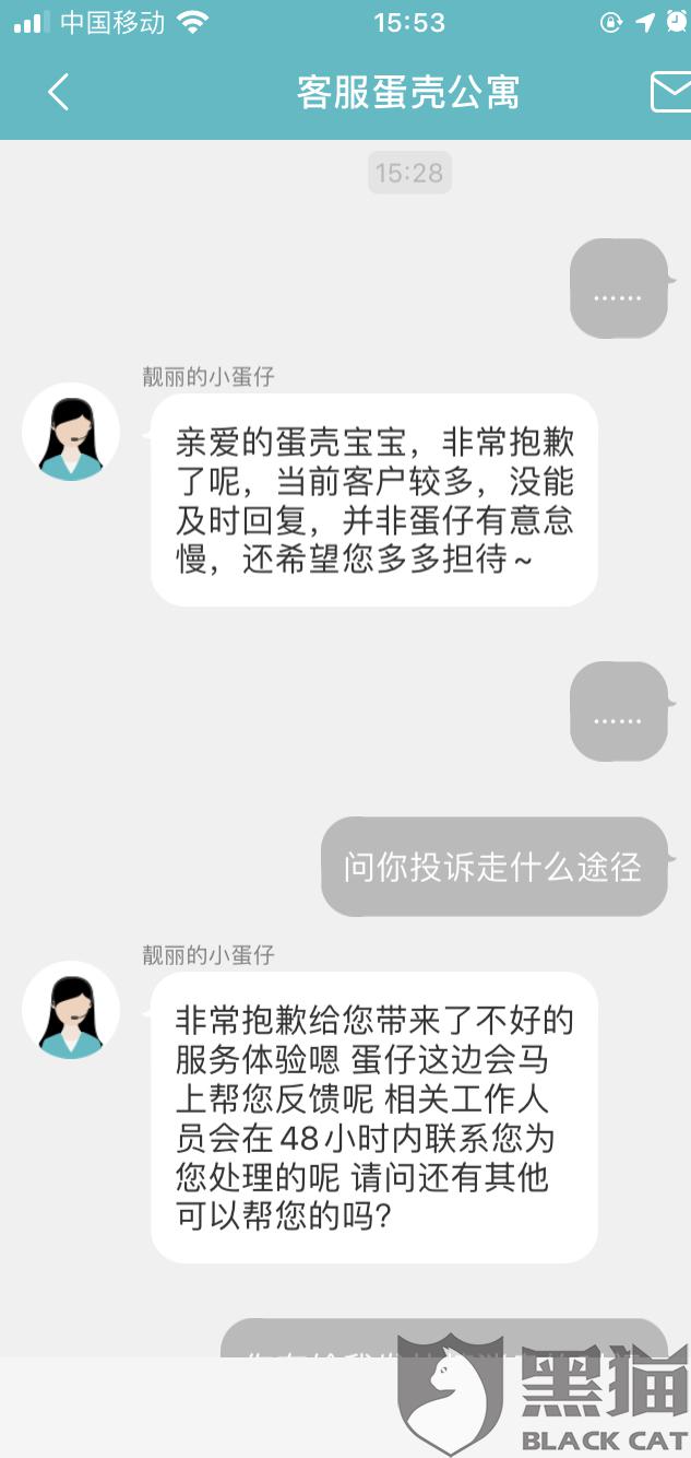 蛋殼公寓最新動態(tài)，家的溫馨與友情的綻放時刻