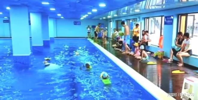 最新泳池消毒技術,保障水質健康與安全