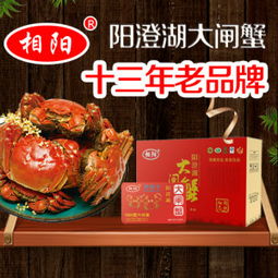太湖大閘蟹價格，家的味道與價值的完美結合