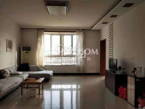 鄒平南范高層出售信息，小巷深處的獨特風景與驚喜小店的探索之旅