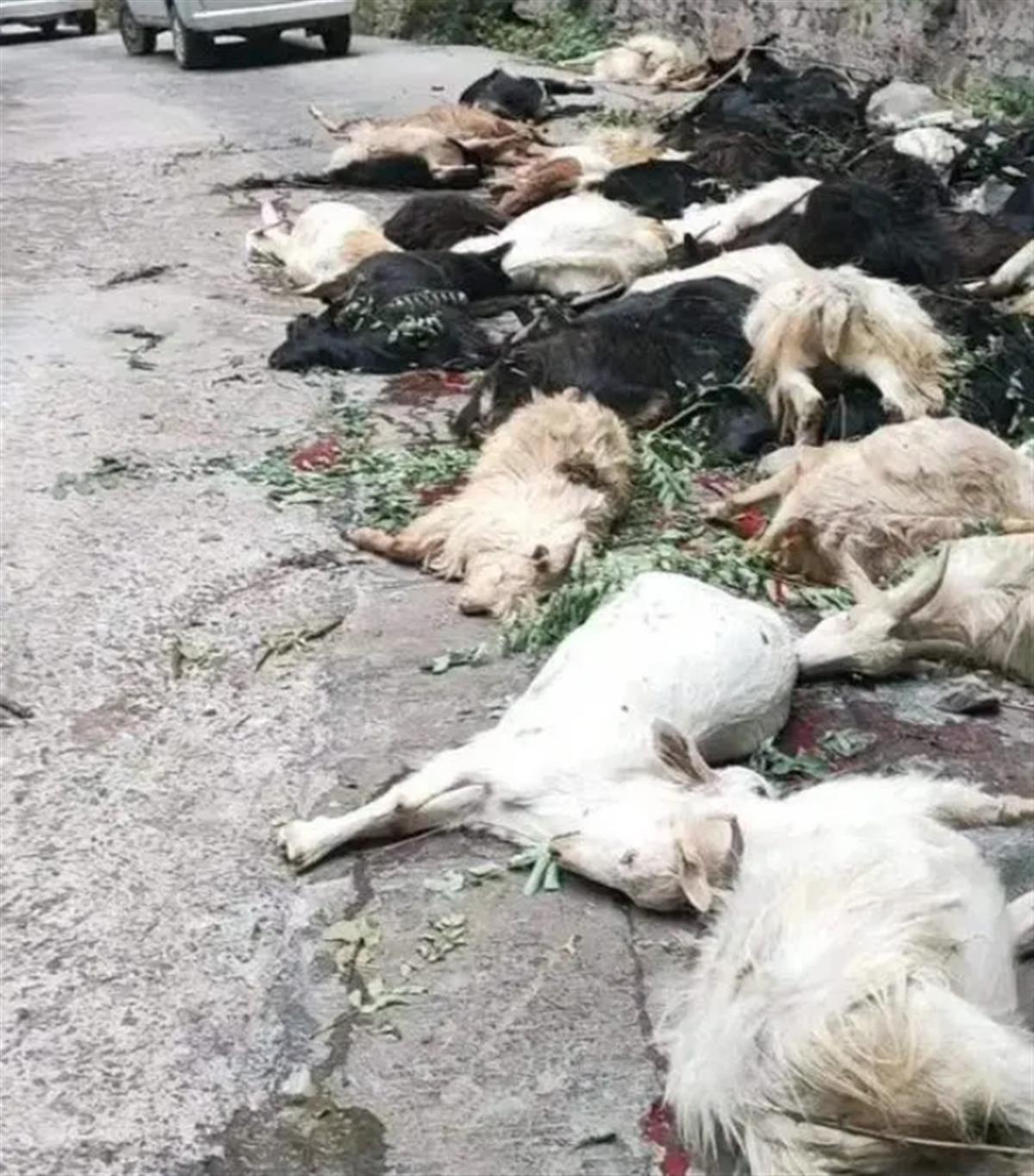 今日輝縣新聞速遞概覽